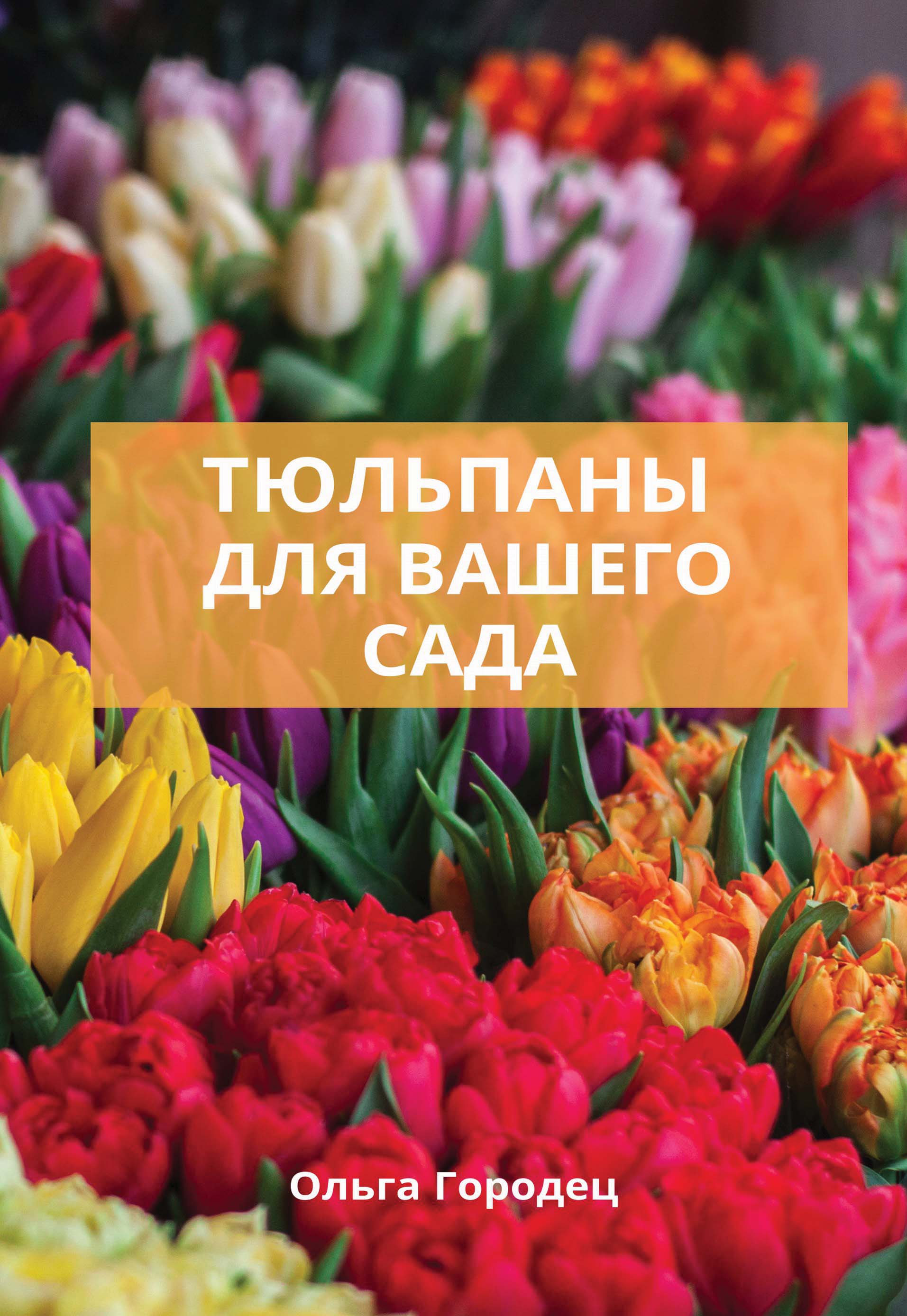 Тюльпаны. Лучшие сорта для вашего сада