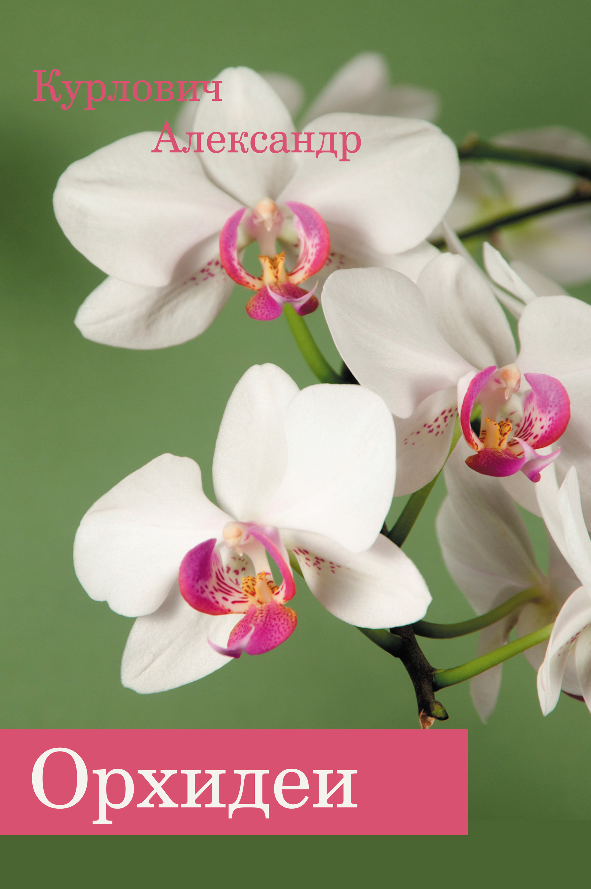 Книга Орхидеи из серии , созданная Александр Курлович, может относится к жанру Хобби, Ремесла. Стоимость электронной книги Орхидеи с идентификатором 26727301 составляет 79.99 руб.