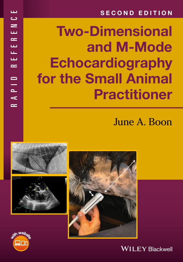 Two-Dimensional and M-Mode Echocardiography for the Small Animal Practitioner