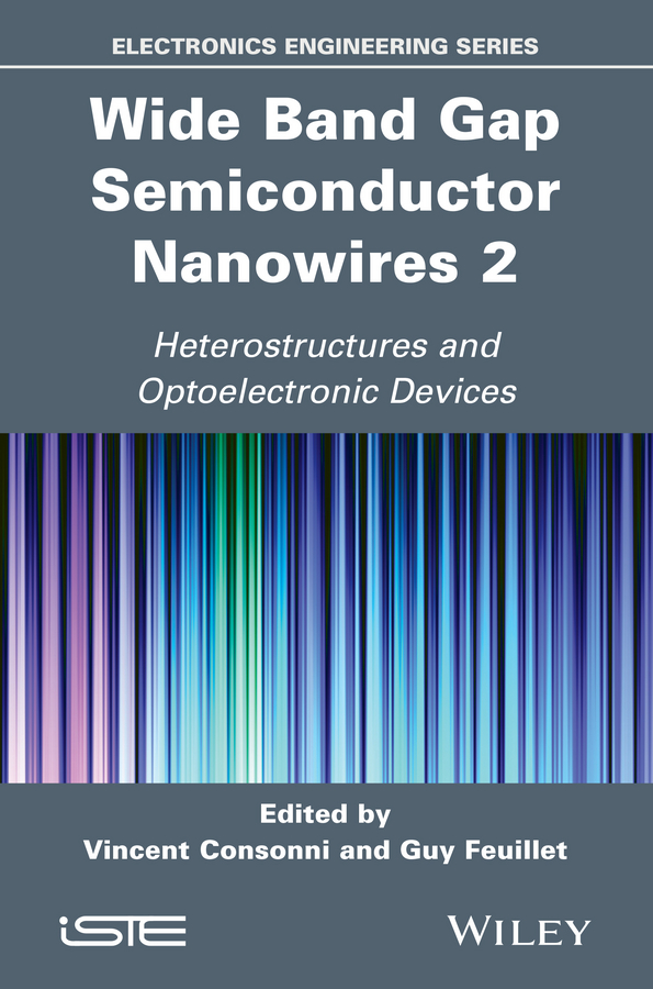 Wide Band Gap Semiconductor Nanowires 2. Heterostructures and Optoelectronic Devices