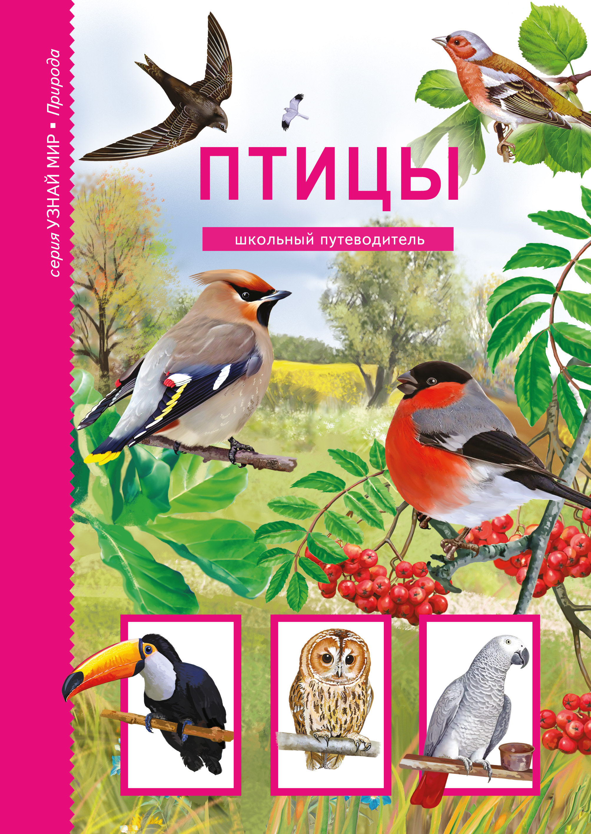 Книга Птицы из серии , созданная Юлия Дунаева, может относится к жанру Книги для детей: прочее, Природа и животные. Стоимость книги Птицы  с идентификатором 42041100 составляет 150.00 руб.