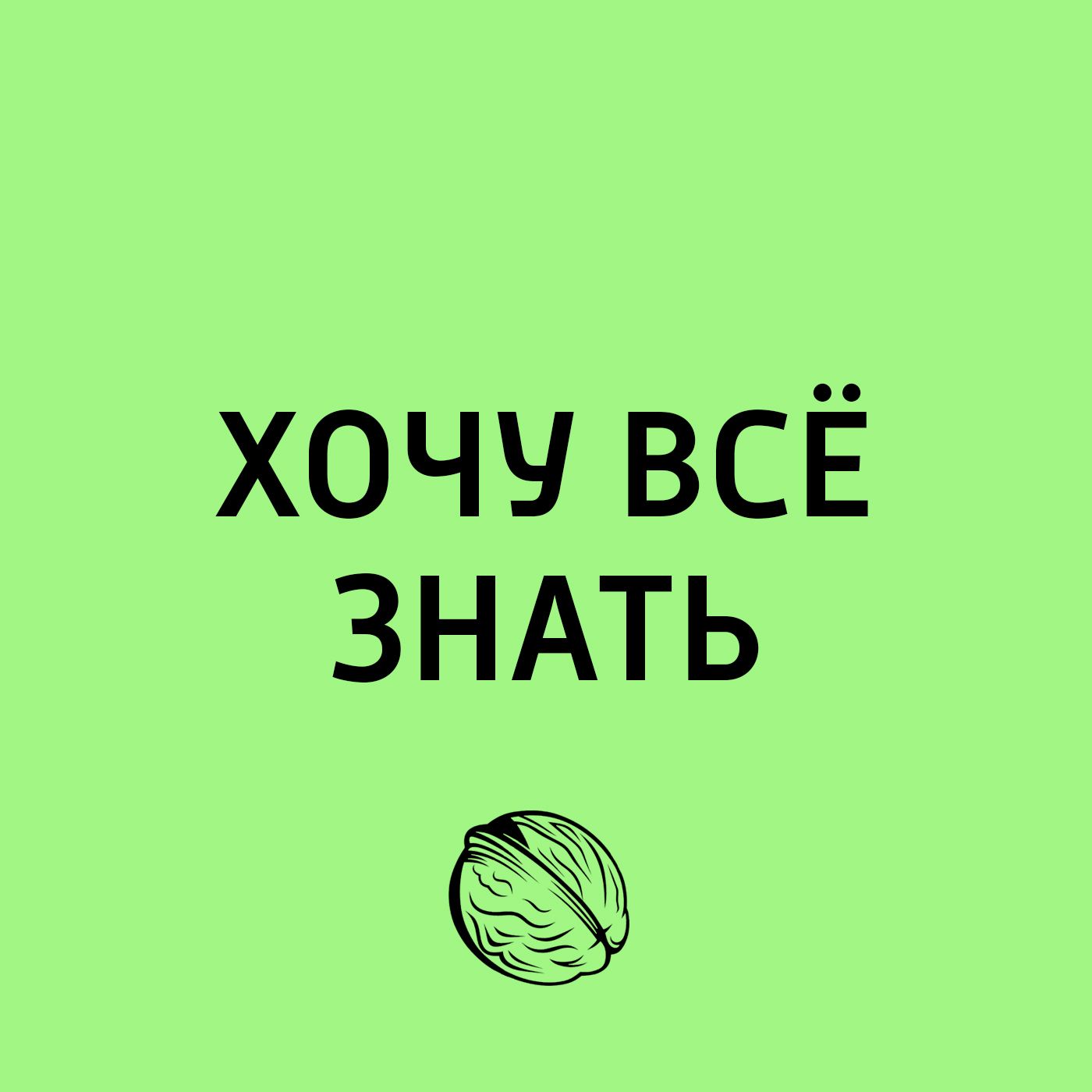 Всемирный день защиты морских млекопитающих или День кита