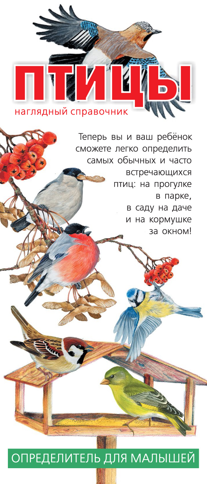 Птицы. Наглядный справочник. Определитель для малышей