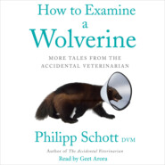How to Examine a Wolverine - More Tales from the Accidental Veterinarian (Unabridged)