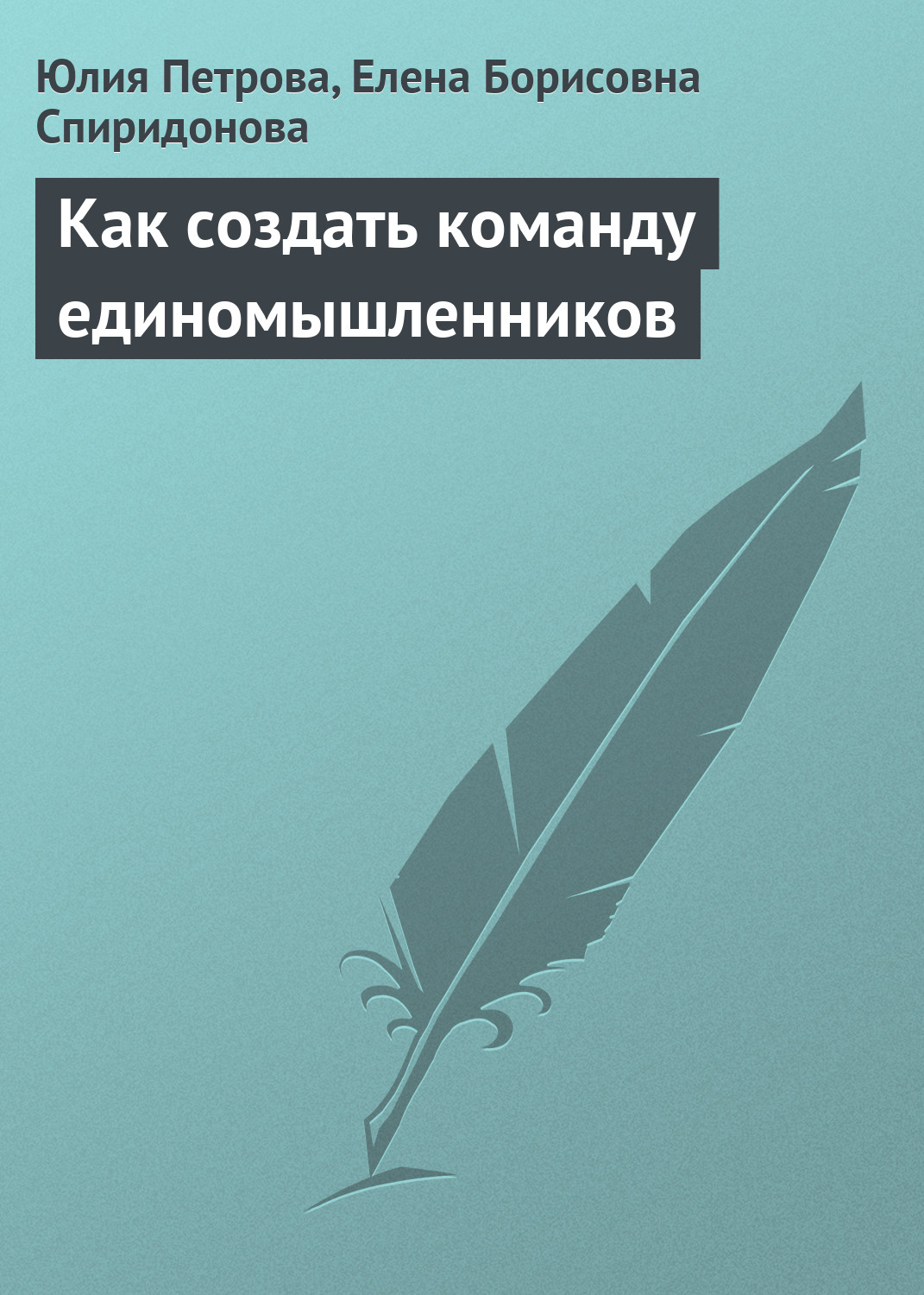 Елена Спиридонова, Юлия Петрова «Как создать команду единомышленников»