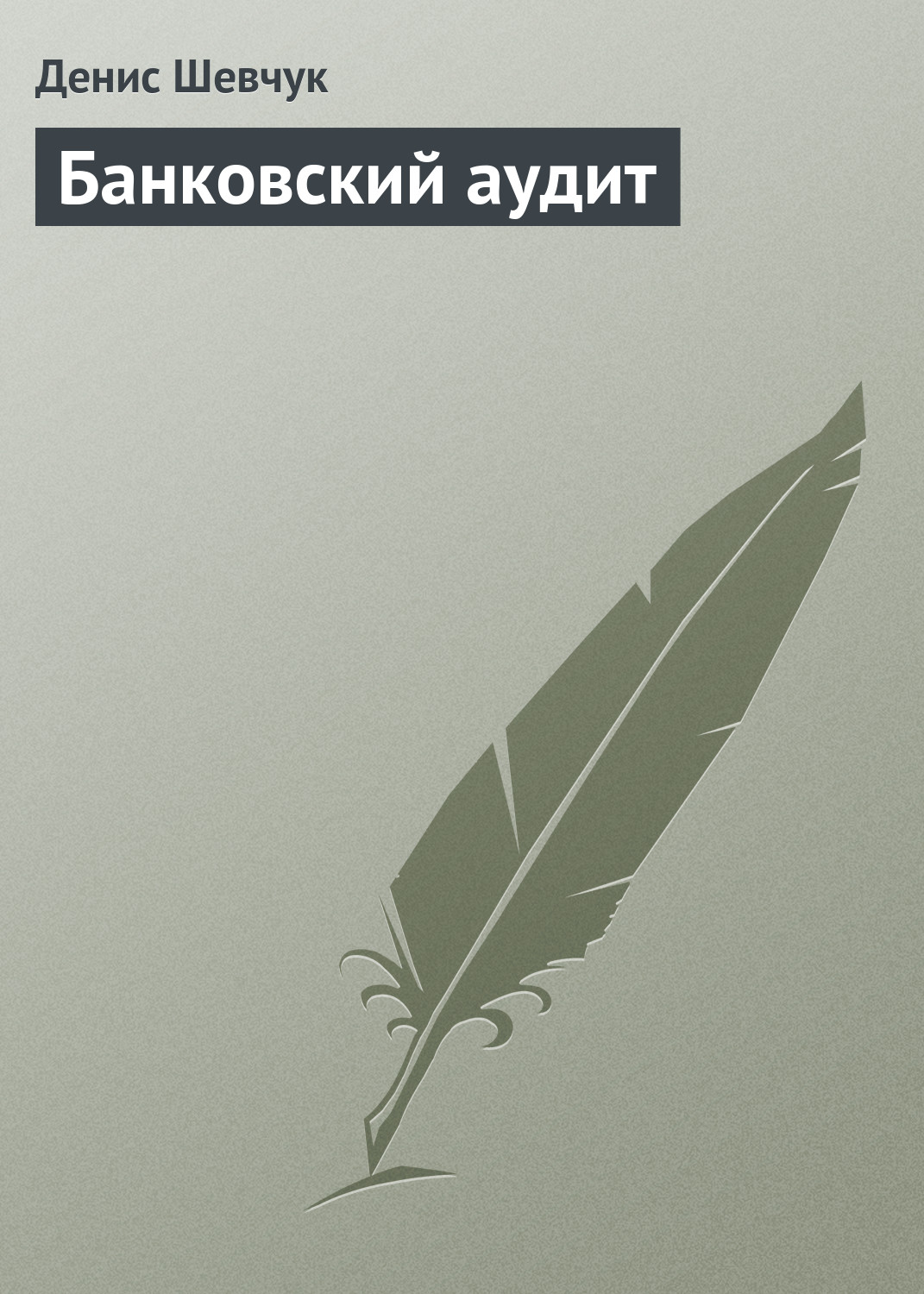 Денис Шевчук «Банковский аудит»