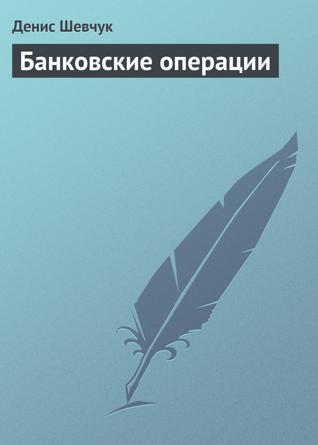 Денис Шевчук «Банковские операции»