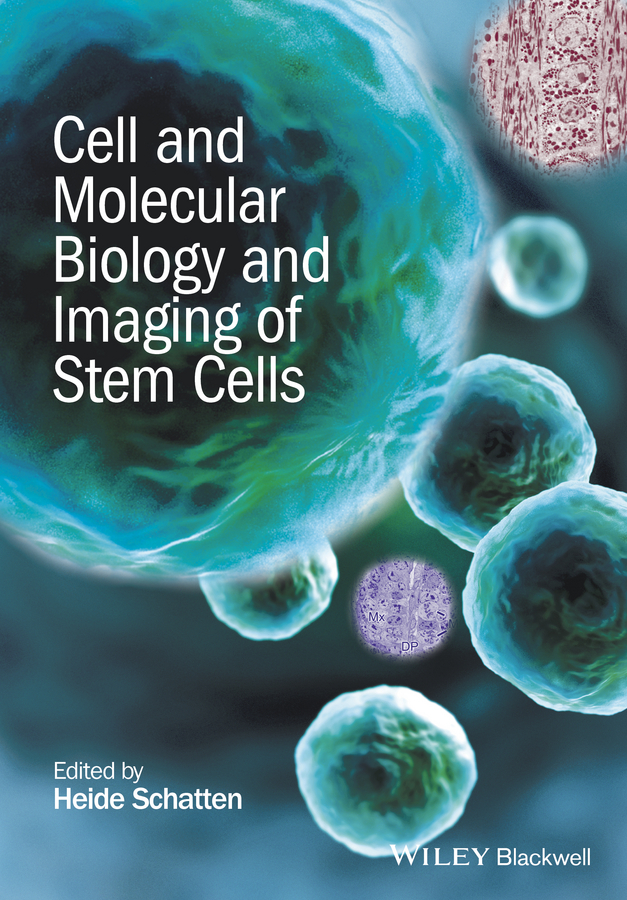 Heide Schatten Cell and Molecular Biology and Imaging of Stem Cells