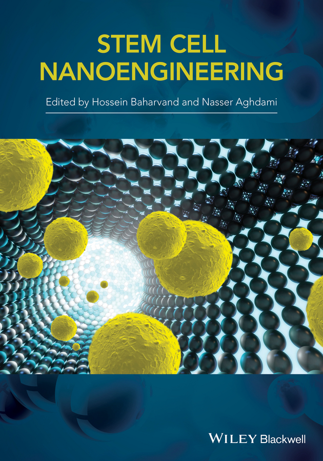 H. Baharvand Stem Cell Nanoengineering