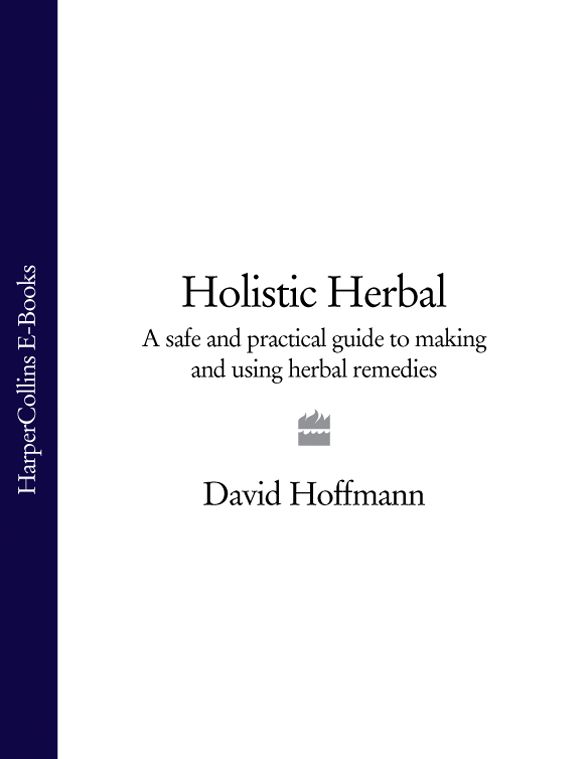 David Hoffmann Holistic Herbal: A Safe and Practical Guide to Making and Using Herbal Remedies