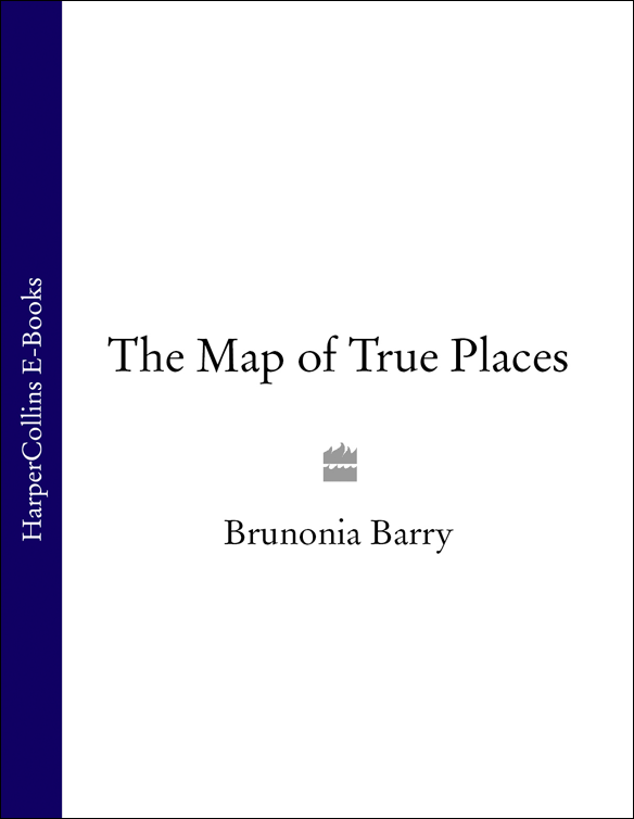 Brunonia Barry The Map of True Places