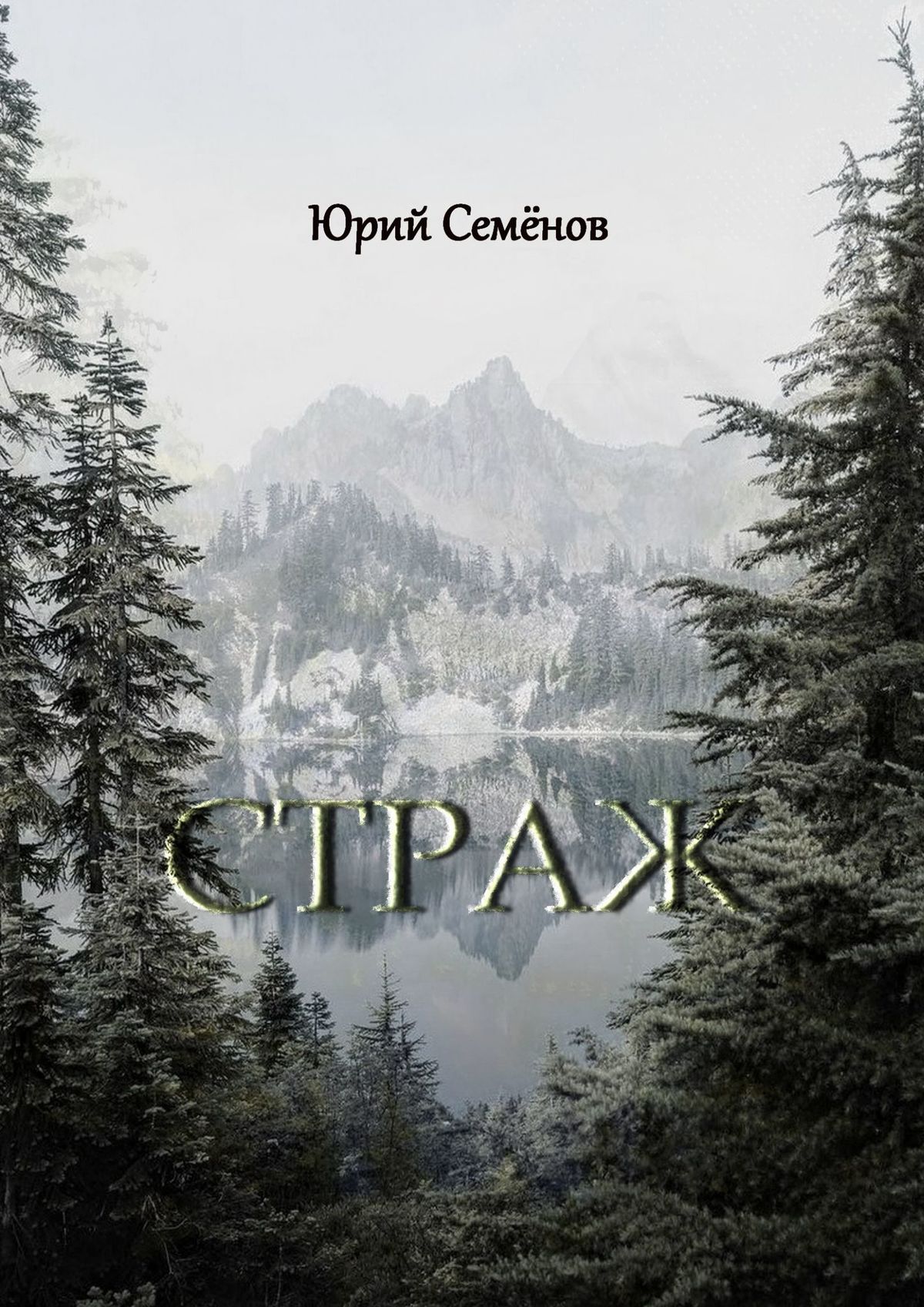 Книга страж. Книги Юрия Семенова. Семёнов ю. 