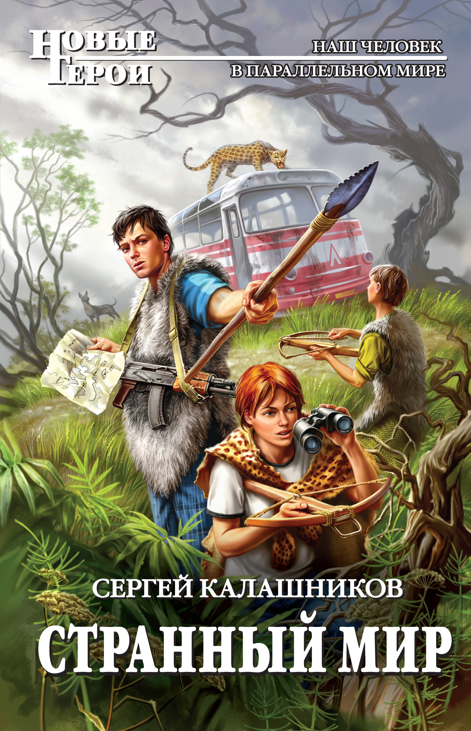 Книга в другом мире. Сергей Калашников. Странный мир. Сергей Калашников книги. Странный мир книга. Книги фантастика.