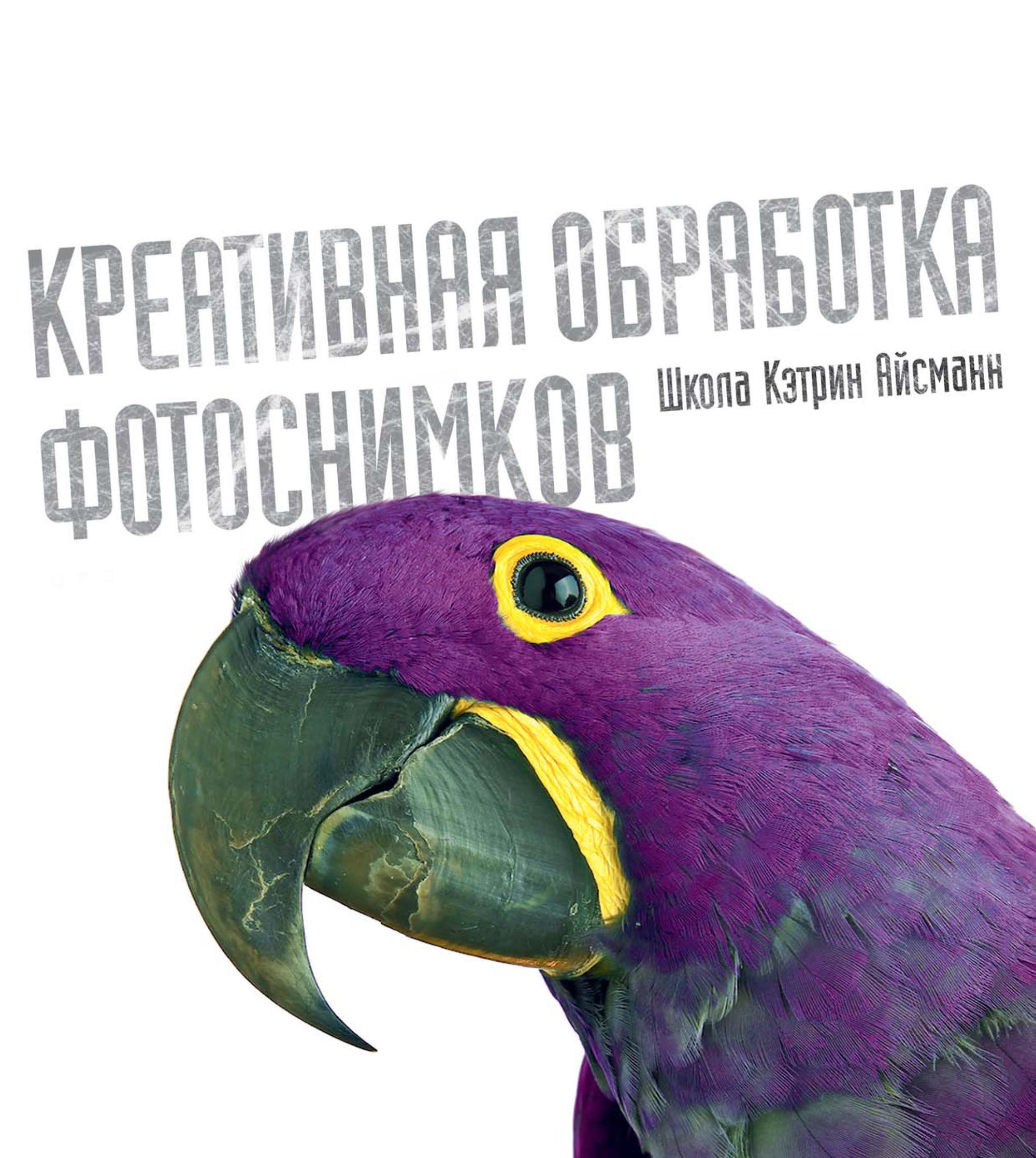 Кэтрин Айсманн, Шон Дагган «Креативная обработка фотоснимков. Школа Кэтрин Айсманн»