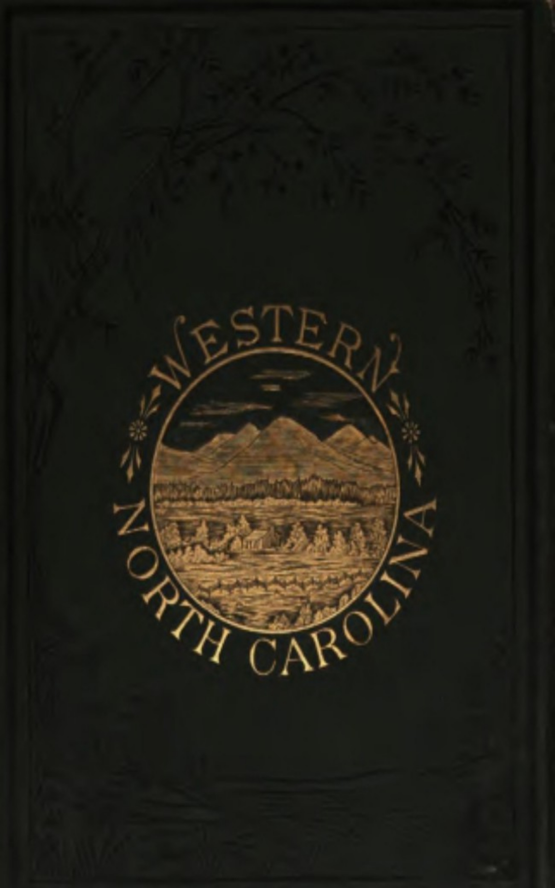 Ben S. Grosscup Wilbur G. Zeigler Western North Carolina - The Heart of the Alleghanies lenora worth ben s bundle of joy