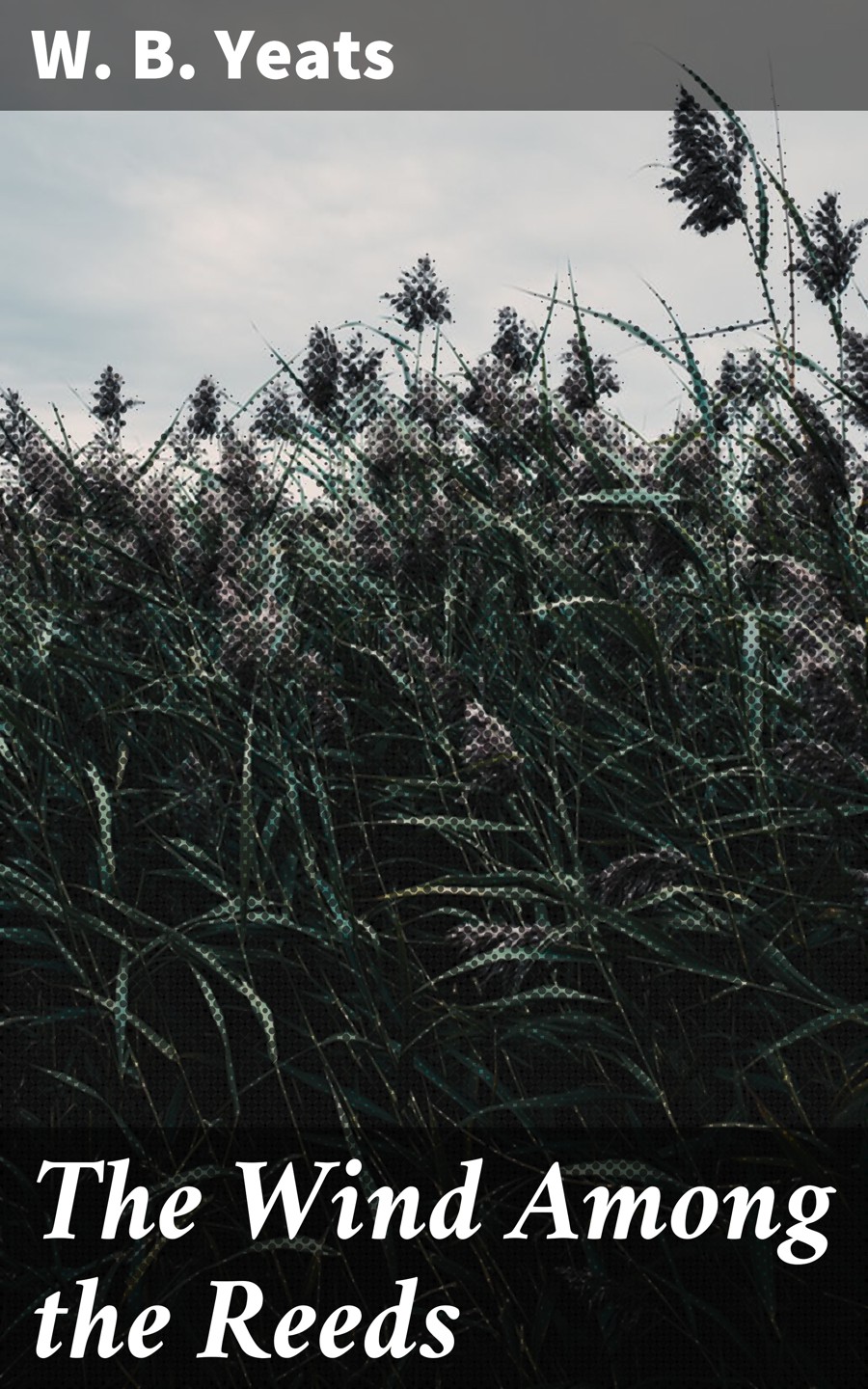 The Wind Among the Reeds