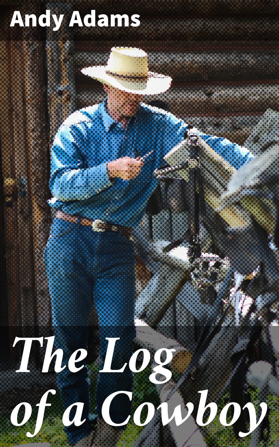 The Log of a Cowboy