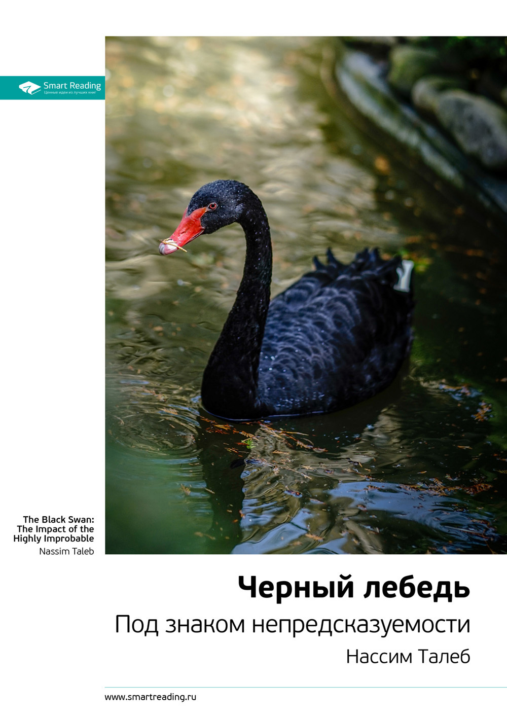 Читать онлайн «Ключевые идеи книги: Черный лебедь. Под знаком ...