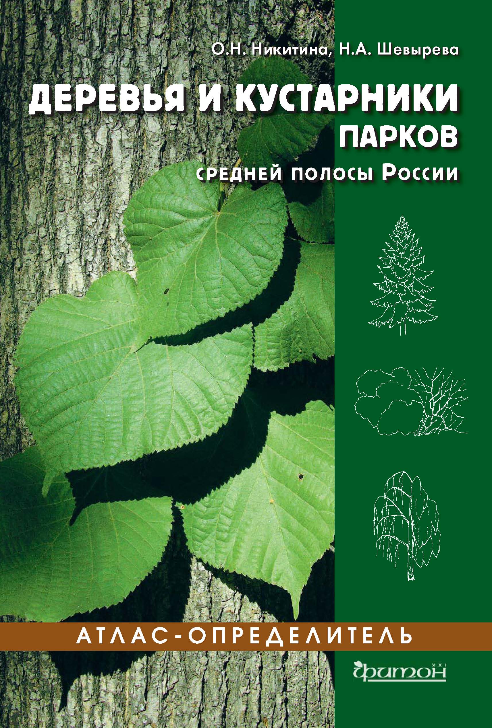 Деревья и кустарники парков средней полосы России, Наталья Шевырева –  скачать pdf на ЛитРес