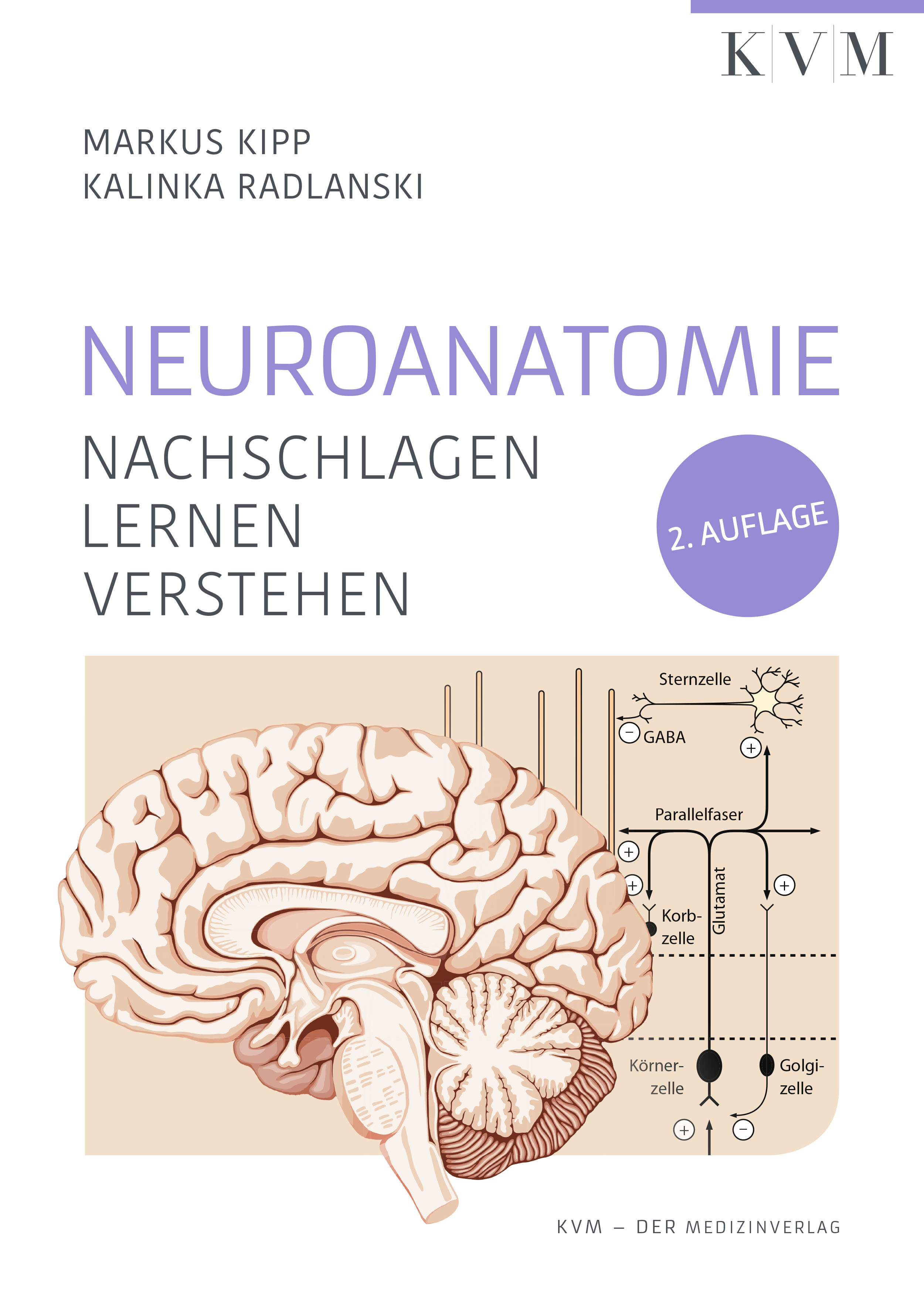 цены Markus Kipp Neuroanatomie