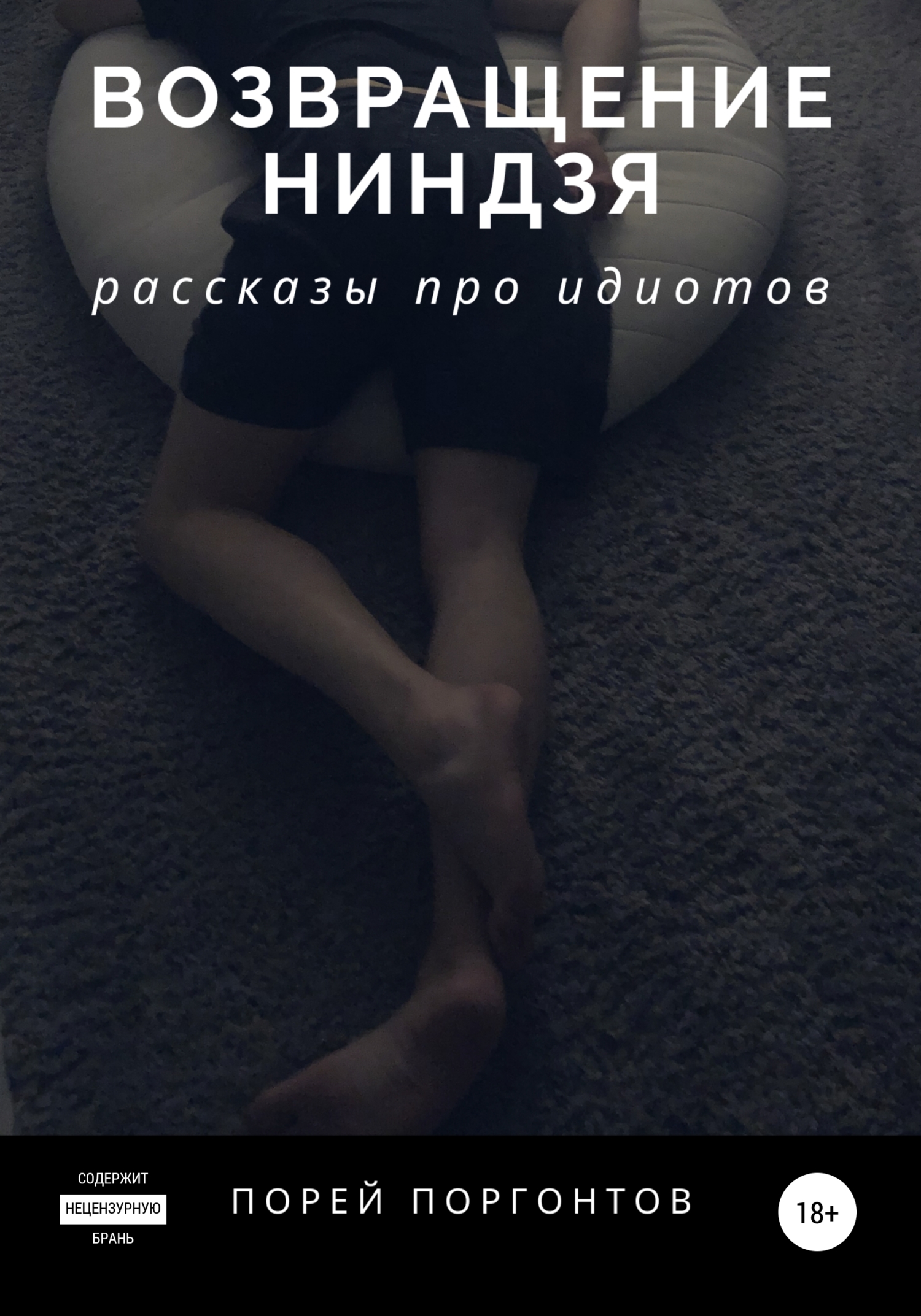 

Возвращение ниндзя