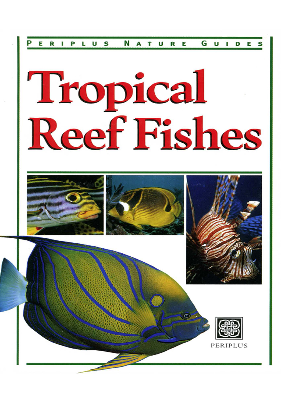 Tropical Reef Fishes