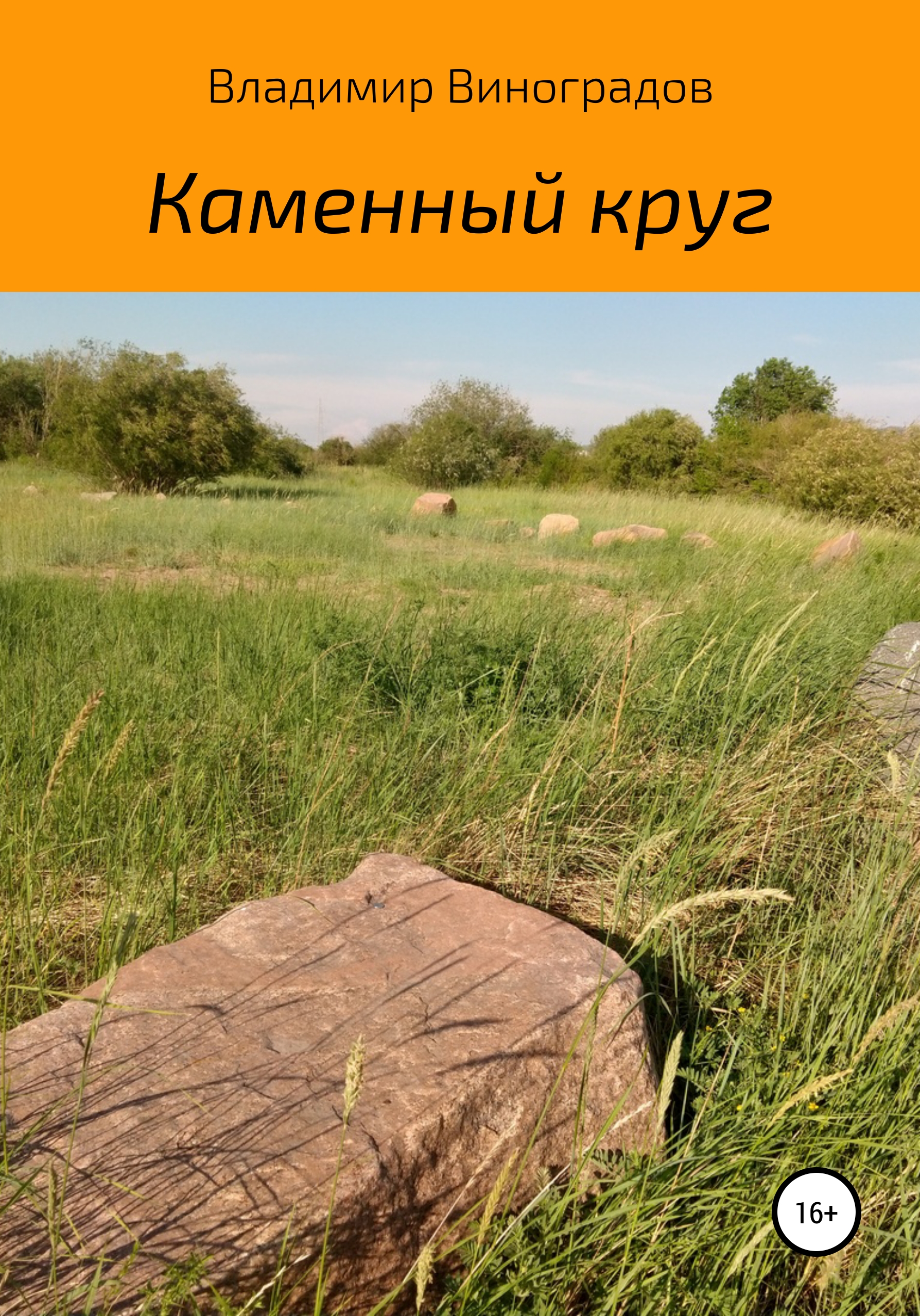 Каменный круг, Владимир Виноградов – скачать книгу fb2, epub, pdf на ЛитРес