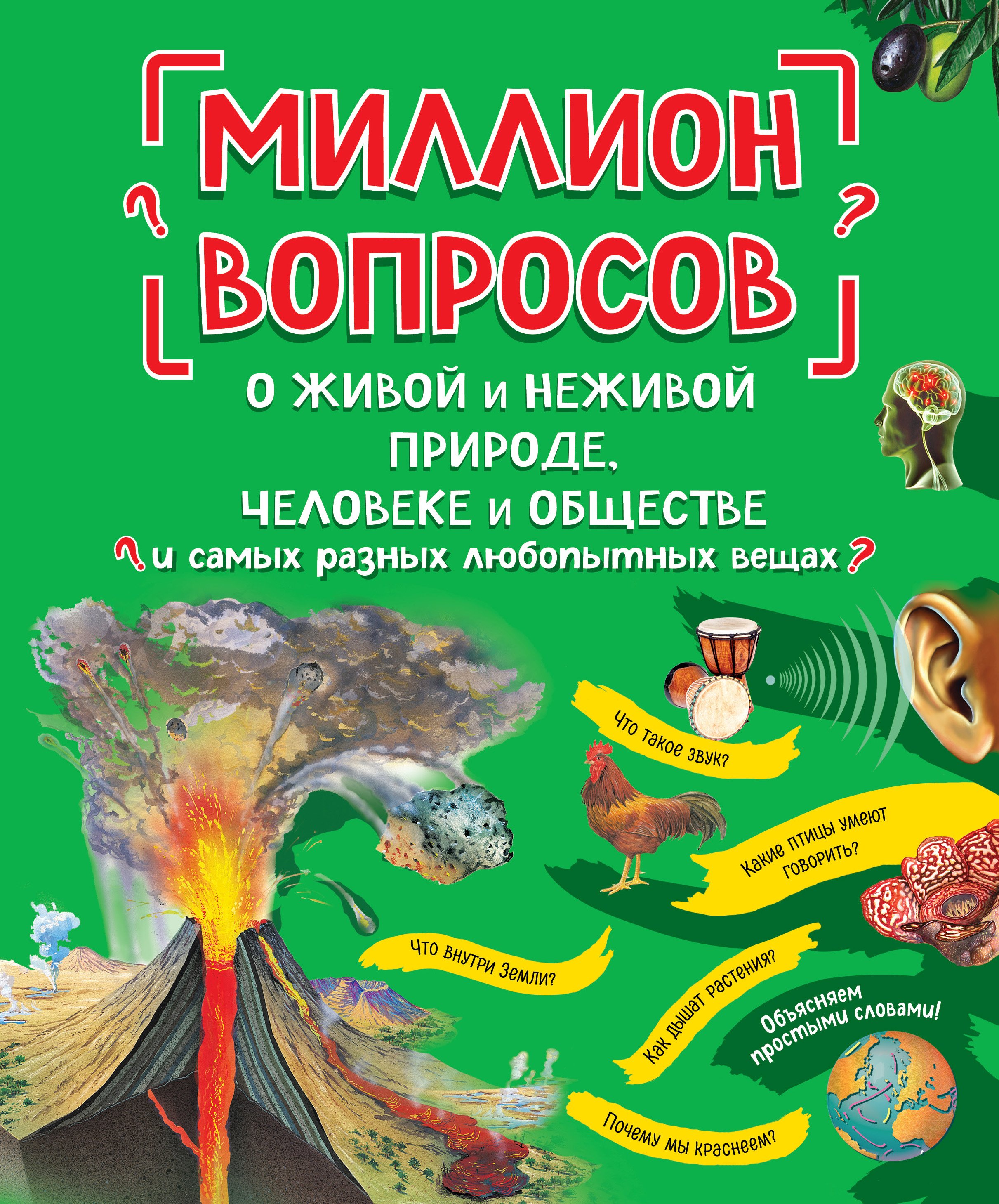 Миллион вопросов о живой и неживой природе, человеке и обществе и самых  разных любопытных вещах – скачать pdf на ЛитРес