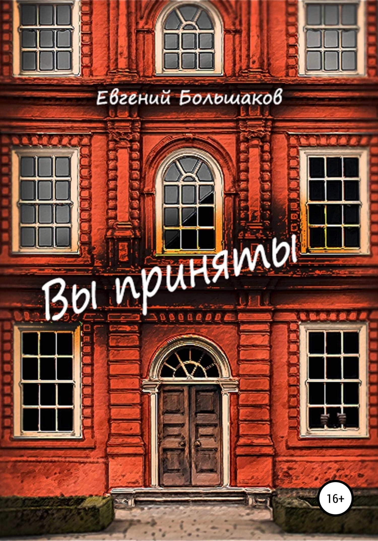 Вы приняты, Евгений Игоревич Большаков – скачать книгу fb2, epub, pdf на  ЛитРес