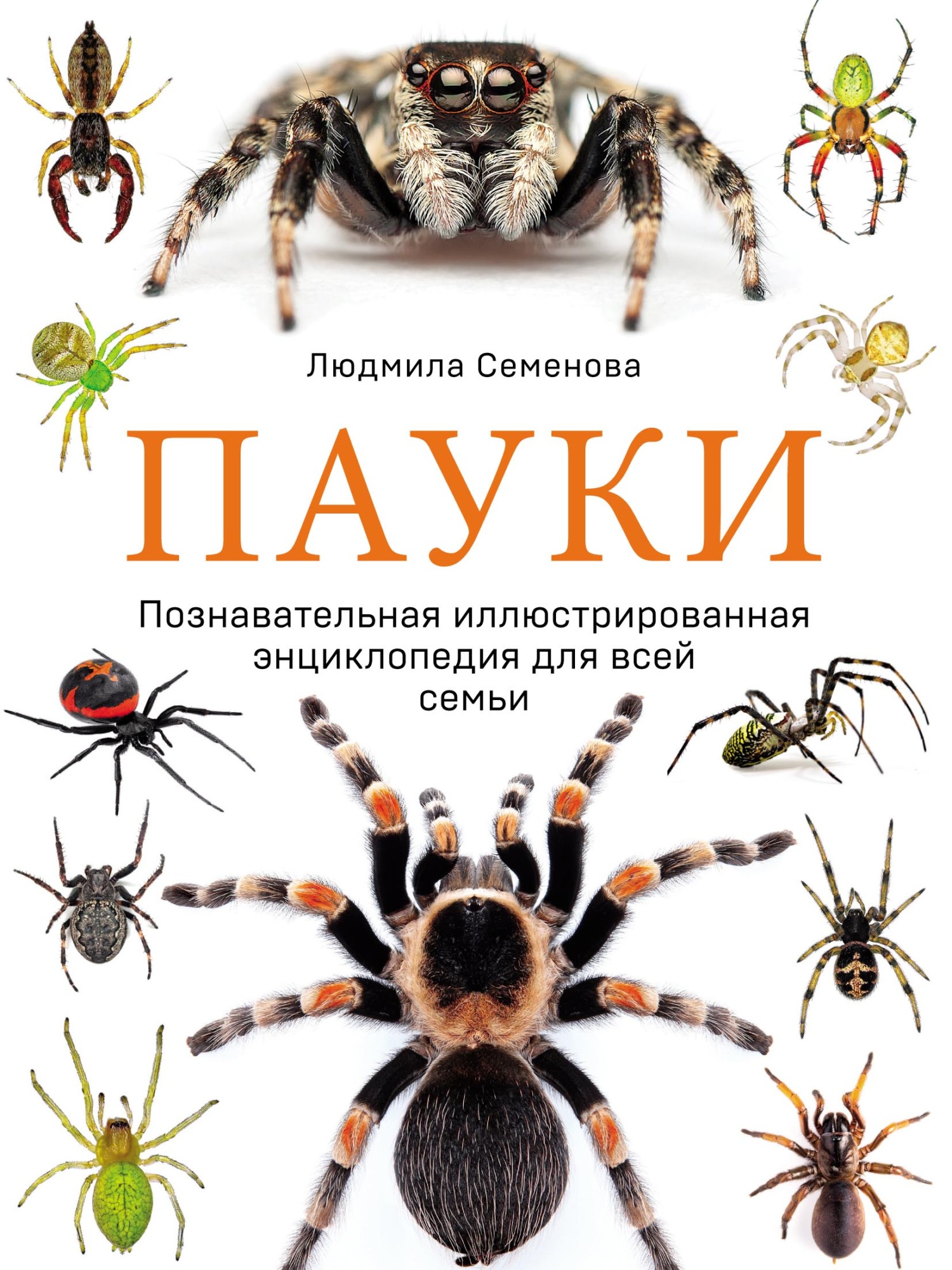 «Пауки. Познавательная иллюстрированная энциклопедия для всей семьи» –  Людмила Семенова | ЛитРес