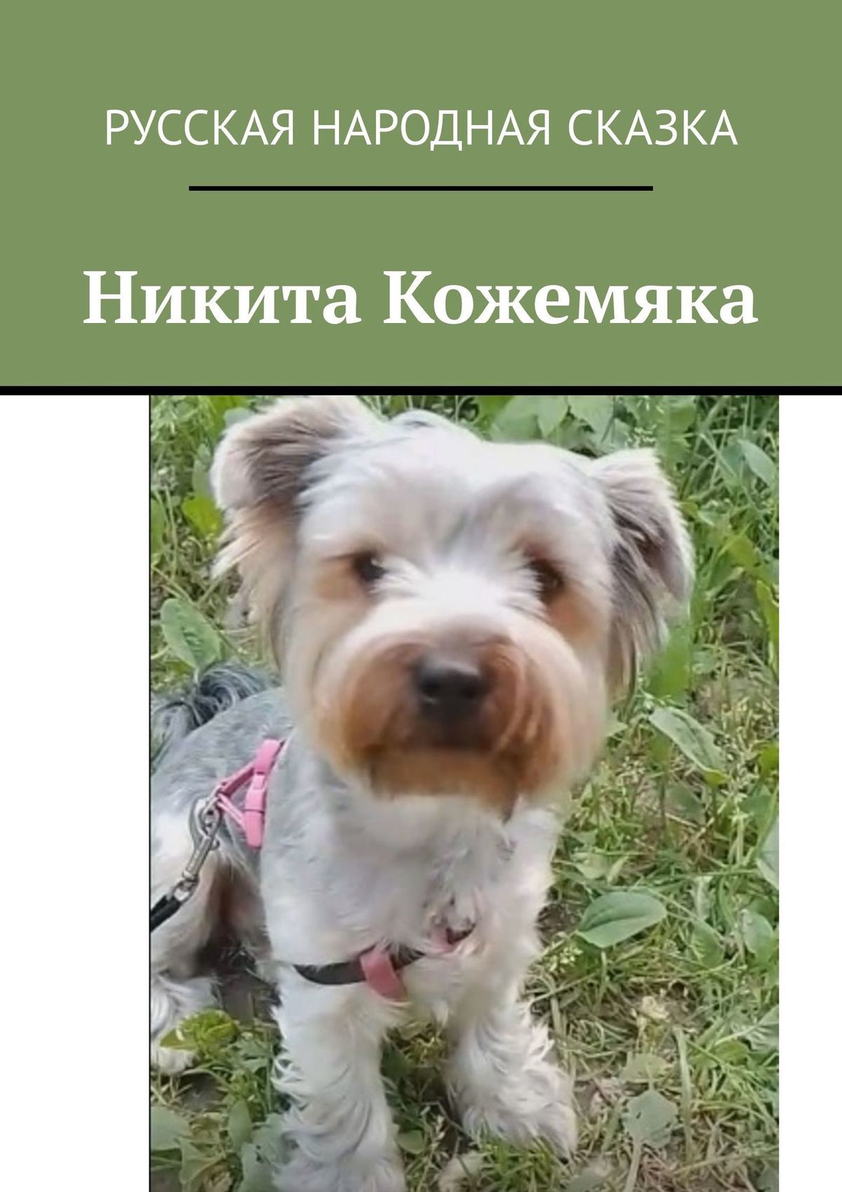 Никита Кожемяка