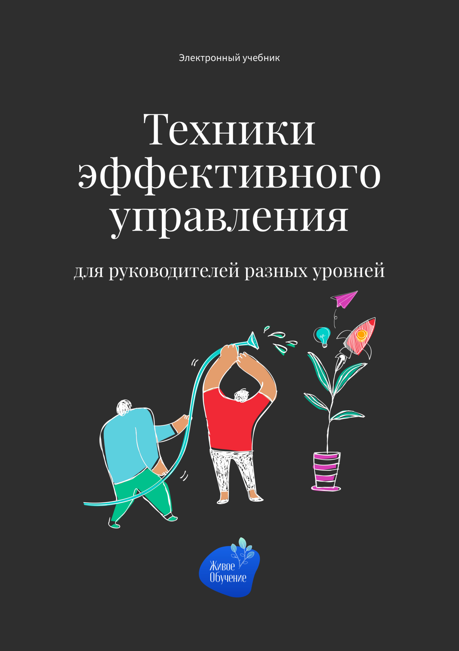 Техники эффективного управления для руководителей разных уровней, Сергей  Смирнов – скачать книгу fb2, epub, pdf на ЛитРес