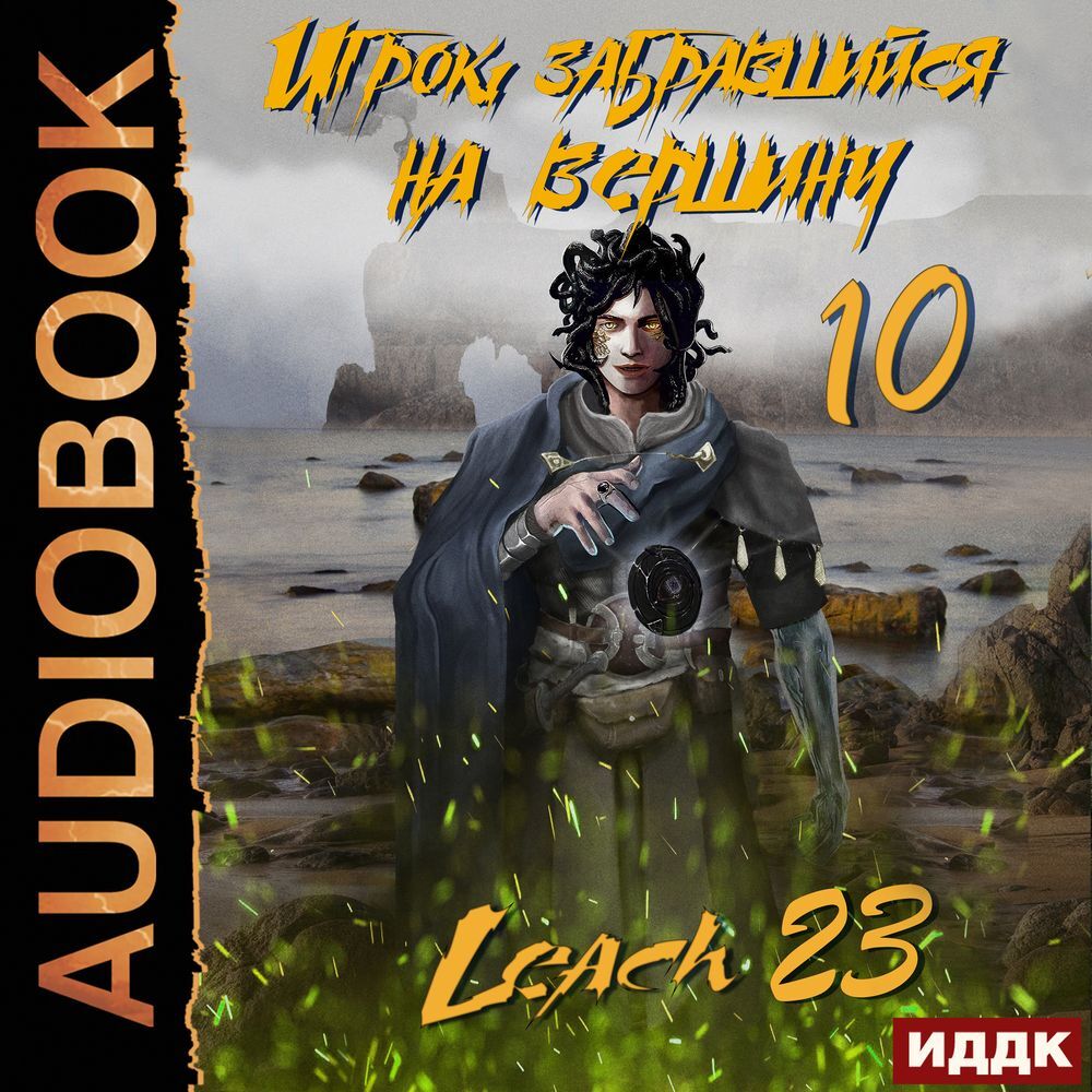 Игрок, забравшийся на вершину. Книга 10, Leach23 – слушать онлайн или  скачать mp3 на ЛитРес