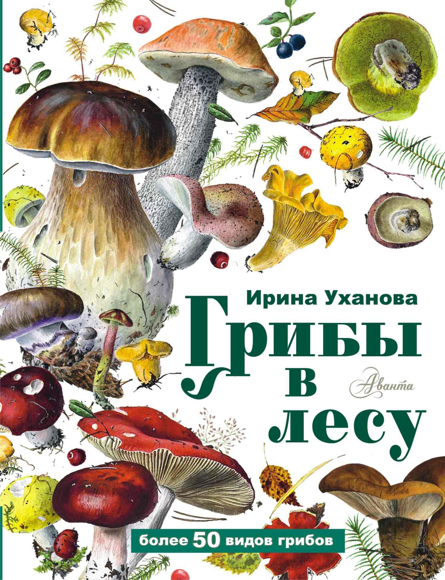 Грибы в лесу, Ирина Уханова – скачать pdf на ЛитРес