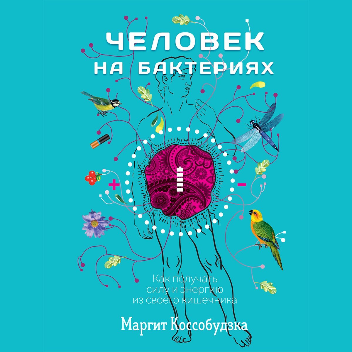 Человек на бактериях. Как получать силу и энергию из своего кишечника,  Маргит Коссобудзка – слушать онлайн или скачать mp3 на ЛитРес