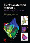 Electroanatomical Mapping