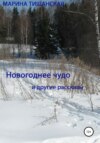 Новогоднее чудо и другие рассказы