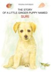 The story of a little ginger puppy girl named Suri