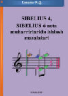 Сибелиус 4, Сибелиус 6 нота муҳаррирларида ишлаш масалалари