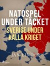 Natospel under täcket