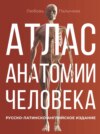 Атлас анатомии человека. Русско-латинско-английское издание