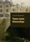 Чужие камни Ноккельбора - Сергей Буридамов