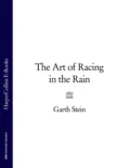 The Art of Racing in the Rain - Garth  Stein
