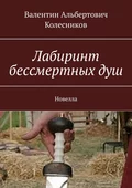 Лабиринт бессмертных душ. Новелла - Валентин Альбертович Колесников