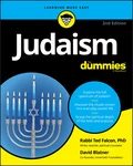 Judaism For Dummies - David  Blatner