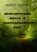 Приключения поэта в заколдованном лесу - Андрей Сергеевич Киров