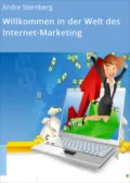 Willkommen in der Welt des Internet-Marketing - André Sternberg