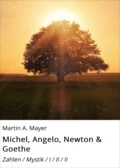 Michel, Angelo, Newton & Goethe - Martin A. Mayer