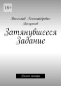 Затянувшееся задание. Колесо сансары - Вячеслав Александрович Полуянов