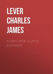 A Day\'s Ride: A Life\'s Romance